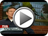 MAURY PHOBIAS - Fear of Birds